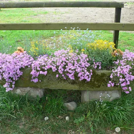 Apartment Heidezeit 3